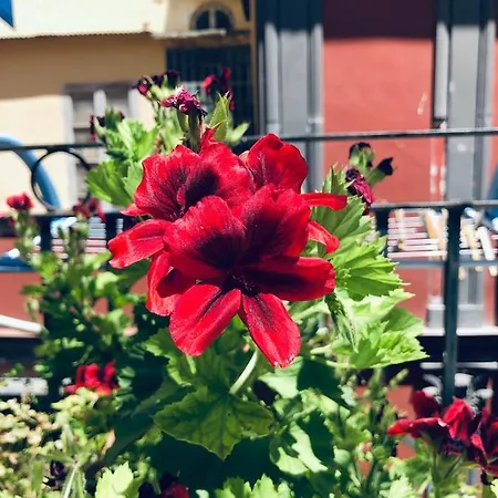 Dimora San Giovanni Maggiore Napoli