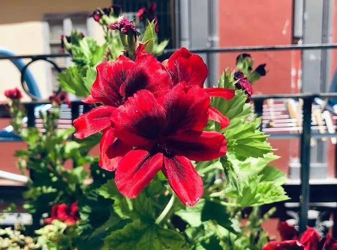 Dimora San Giovanni Maggiore Neapol